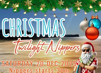 Christmas Twilight Nippers