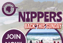 Nippers Are Back!