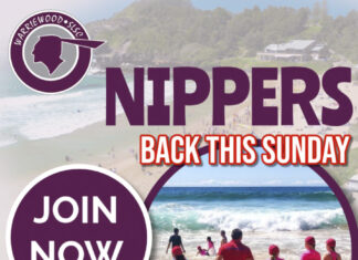 Nippers Are Back!